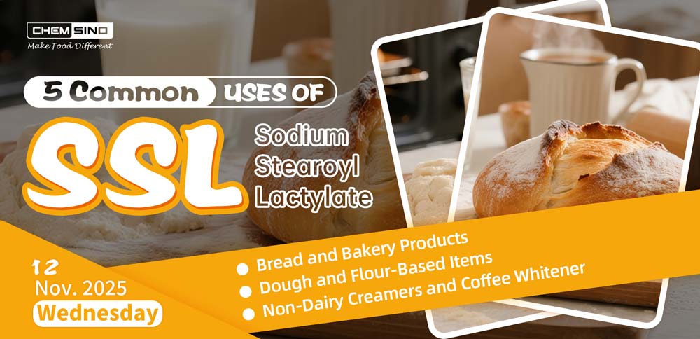 5 Common Uses of Sodium Stearoyl Lactylate